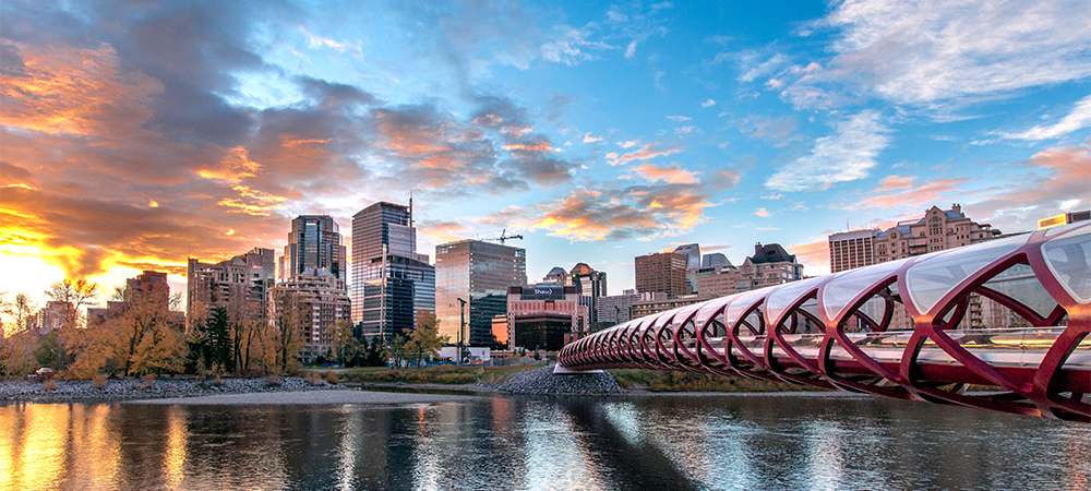 Printing and Document Scanning in Calgary